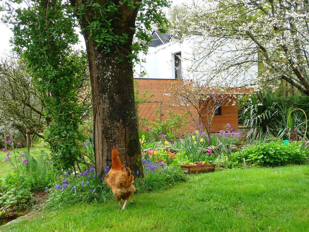 Le Jardin Aux Oiseaux Bed & Breakfast Férel Oda fotoğraf