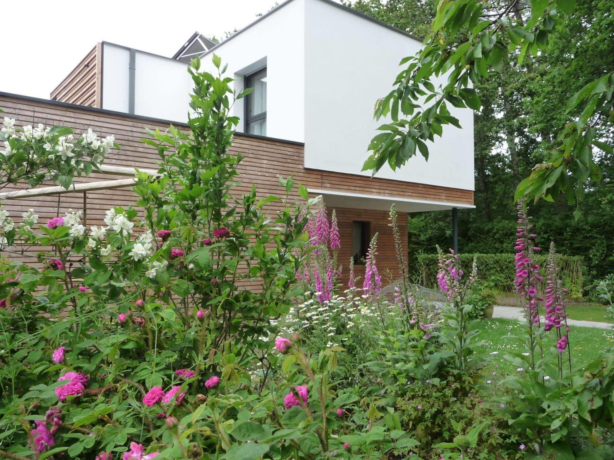 Le Jardin Aux Oiseaux Bed & Breakfast Férel Dış mekan fotoğraf