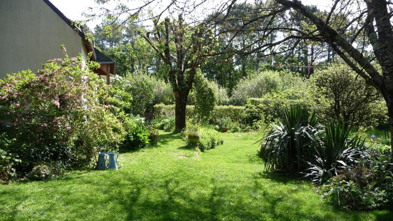Le Jardin Aux Oiseaux Bed & Breakfast Férel Dış mekan fotoğraf